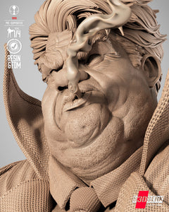 B3DSERK Sam Portrait Bust