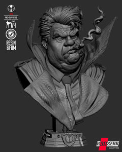 B3DSERK Sam Portrait Bust