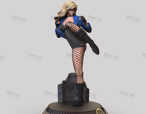 Black Canary and NSFW 3D Prints STL File