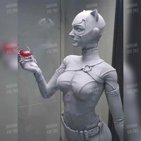 Catwoman 3D Prints STL File