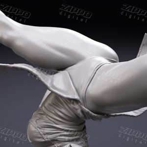 Chun-Li Spinning Bird Kick Fan Art 3D Print - STL file