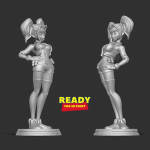 Harley Quinn Stylized