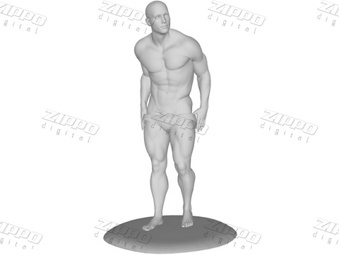 Stripper 3D Print - STL file