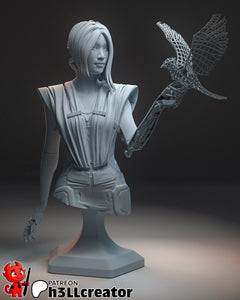 h3LL creator Songbird