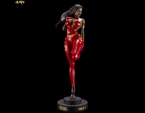 Wonder Woman - Dc Universe - Collectible Rare Model