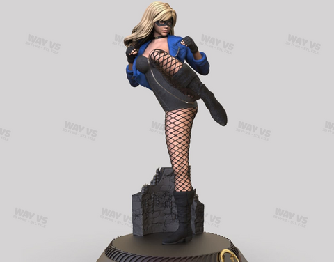 Black Canary and NSFW 3D Prints STL File