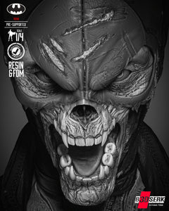 B3DSERK - Catwoman Dceased Bust