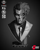 B3DSERK - Two Face Portrait Bust