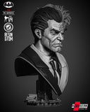 B3DSERK - Two Face Portrait Bust