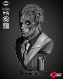 B3DSERK - Two Face Portrait Bust