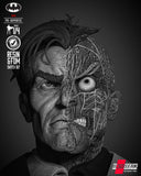 B3DSERK - Two Face Portrait Bust