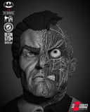 B3DSERK - Two Face Portrait Bust