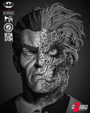 B3DSERK - Two Face Portrait Bust