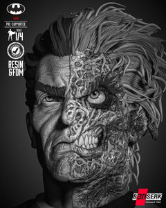 B3DSERK - Two Face Portrait Bust