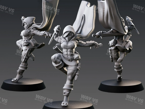 Elf-Rogue 3D Prints STL File