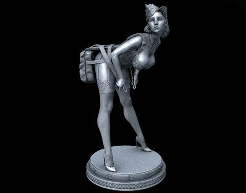 WW2 Pin up 3D Print - STL file