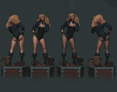 Black Canary 3D Print - STL file