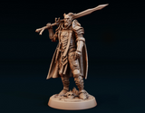 Casthos the Golden Tiefling Paladin 3D Print - STL file