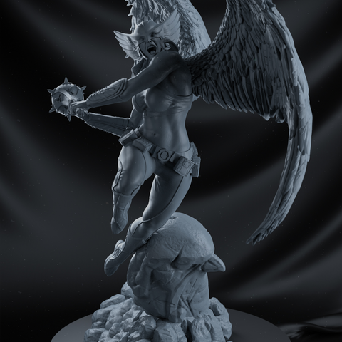 Hawkwoman 3D Print - STL file