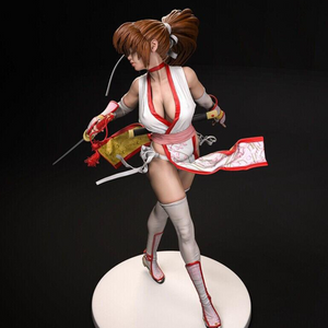 Kasumi Team Ninja і Tecmo 3D Print - STL file