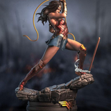 Wonder Woman Battle 3D Print - STL file