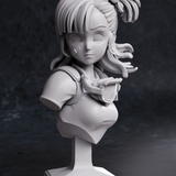 Bulma from Drago Ball 3D Print - STL file