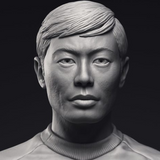 Star Trek Busts 3D Print - STL file