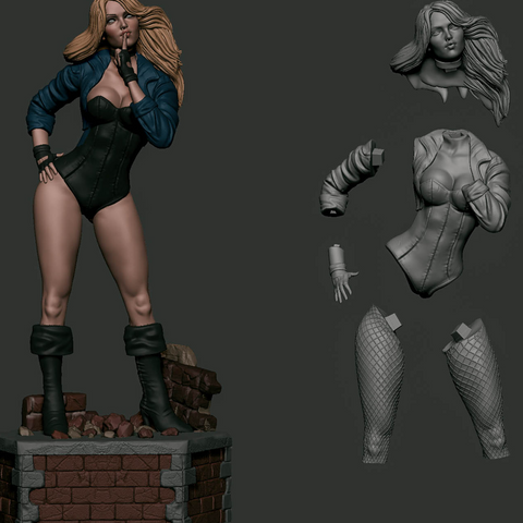 Black Canary 3D Print - STL file