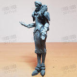 Moira Blackwatch Skin 3D Prints STL File