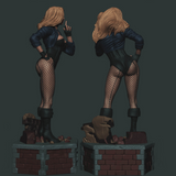 Black Canary 3D Print - STL file