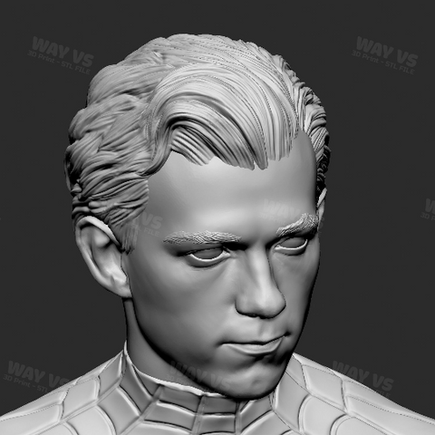 Spider-Man Tom Holland 3D Prints STL File