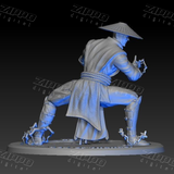 Raiden 3D Print - STL file