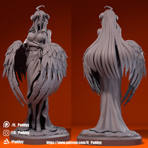 IL-Paddyy Albedo