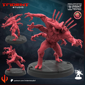 Trident Studio January 2025