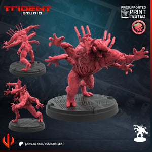 Trident Studio January 2025
