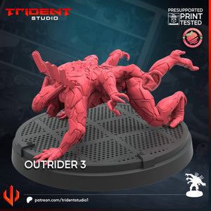 Trident Studio January 2025