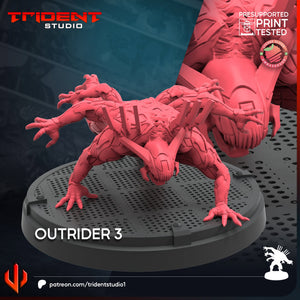 Trident Studio January 2025