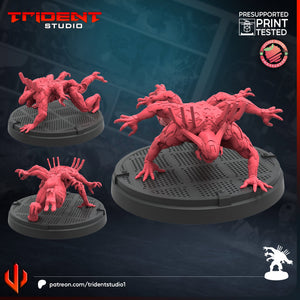 Trident Studio January 2025