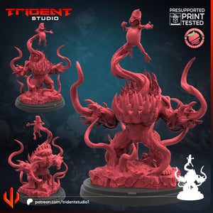 Trident Studio January 2025