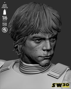 SW3D - Luke Stormtrooper Sculpture