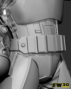 SW3D - Luke Stormtrooper Sculpture