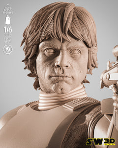 SW3D - Luke Stormtrooper Sculpture