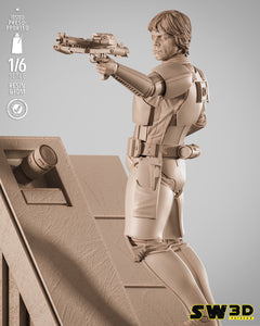 SW3D - Luke Stormtrooper Sculpture