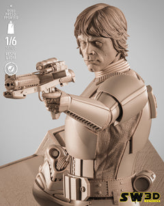 SW3D - Luke Stormtrooper Sculpture