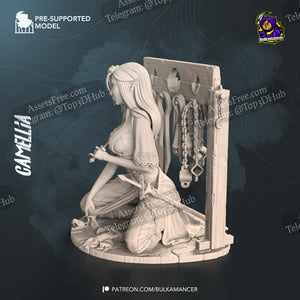 Camellia - Bulkamancer