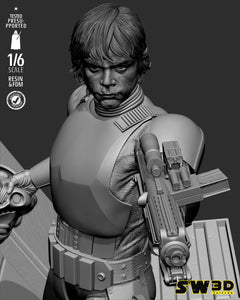 SW3D - Luke Stormtrooper Sculpture