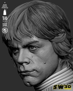 SW3D - Luke Stormtrooper Sculpture
