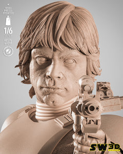 SW3D - Luke Stormtrooper Sculpture