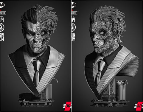 B3DSERK - Two Face Portrait Bust