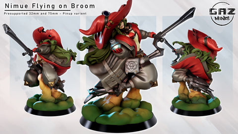 Nimue on Broom
